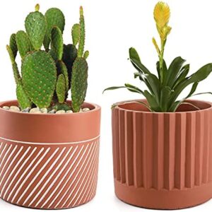 YOUEON 2 Pack 4 Inch Cement Succulent Plant Pot with Drain Hole Unglazed Bonsai Containers Boho Plant Pot Modern Clay Planter Small Flower Pot for Home Decoration Office Indoor and Outdoor Plants
