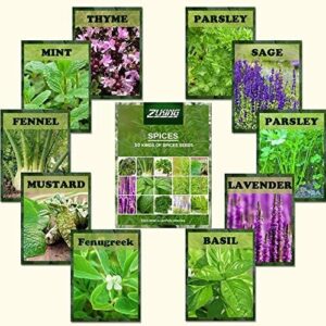 1100 Pcs Mix Spices Seeds Collection Popular Organic Nature Bring The Fragrance Plant for Kitchen Home Garden Planting,Basil,Lavender,Sage,Mint